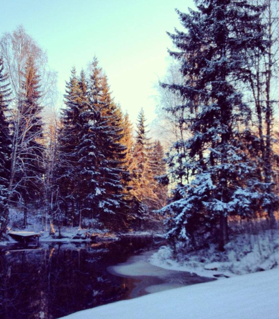 kyroboas vinter
